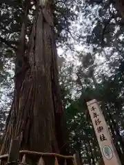 鷲子山上神社の自然