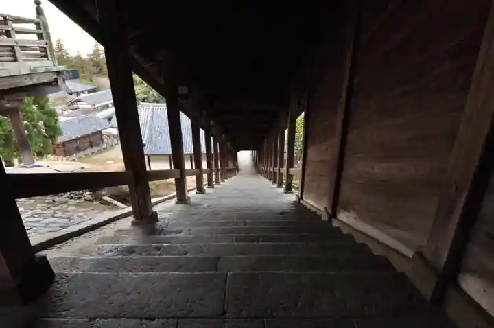 東大寺(奈良県)