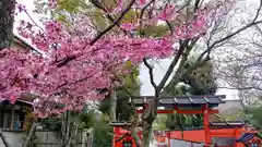 車折神社の自然