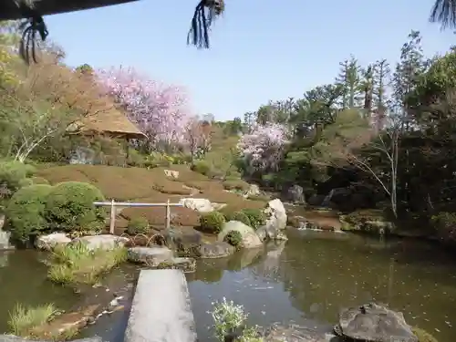 退蔵院の庭園