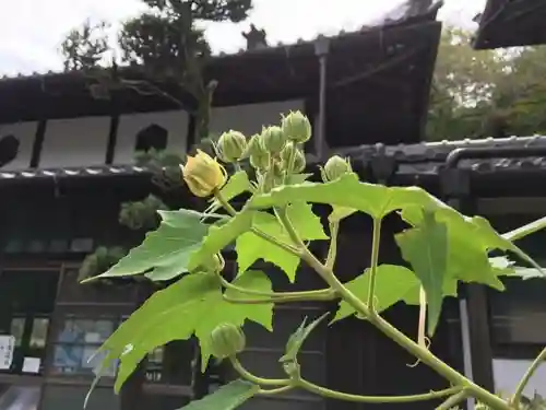 當麻寺中之坊の建物その他