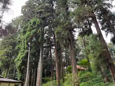 大宮温泉神社(栃木県)
