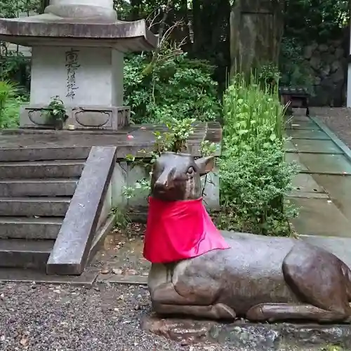 青蓮院門跡の狛犬