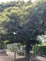 薭田神社(東京都)