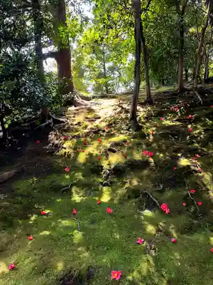 城南宮(京都府)