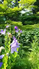 普門院（文知摺観音 安洞院）の庭園