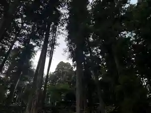 大宮温泉神社(栃木県)(2023年10月08日(日) 08時15分13秒投稿)