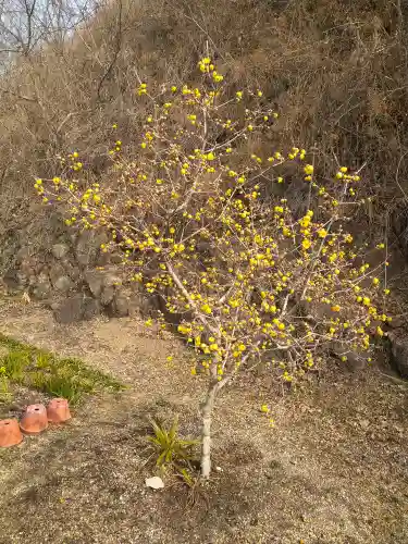 神前神社の自然