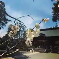 豊景神社の自然
