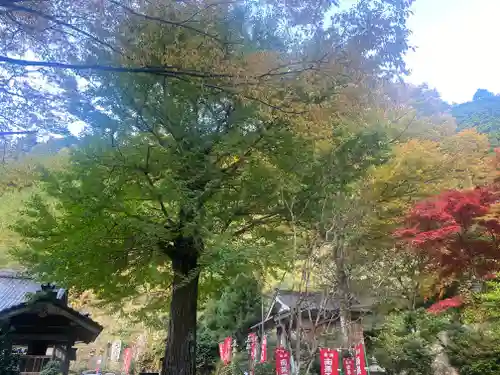 常瀧寺(兵庫県)