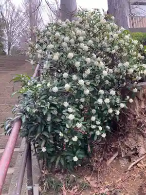 弥生神社(神奈川県)