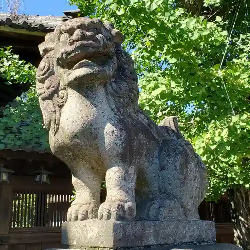 尾張八幡神社の狛犬