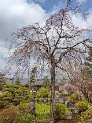 蓮華王院（三十三間堂）(京都府)
