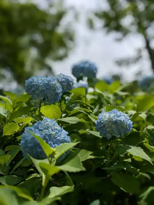 尊永寺(静岡県)