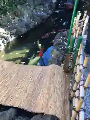 吉原神社(東京都)