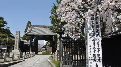 妙蓮寺の山門