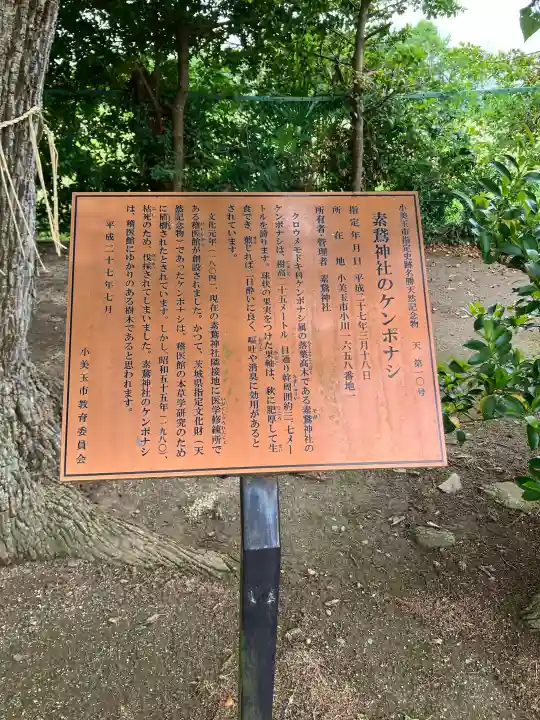 素鵞神社の{uncategorized: "未分類", other: "その他", undefined: "問題あり", building: "その他建物", grave: "お墓", sacred_gate: "鳥居", guardian: "狛犬", statue: "像", buddha: "仏像", history: "歴史", nature: "自然", garden: "庭園", animal: "動物", pagoda: "塔", temizu: "手水舎", mountain_gate: "山門・神門", sanctuary: "本殿・本堂", subordinate: "末社・摂社", art: "芸術", scenery: "景色", jizo: "地蔵", ema: "絵馬", goshuin: "御朱印", omikuji: "おみくじ", items: "授与品その他", amulet: "お守り", goshuincho: "御朱印帳", eats: "食事", festival: "お祭り", votive_dance: "神楽", shichigosan: "七五三参", wedding: "結婚式", experience: "体験その他", initially: "初詣", around: "周辺", anti_infection: "感染症対策"}