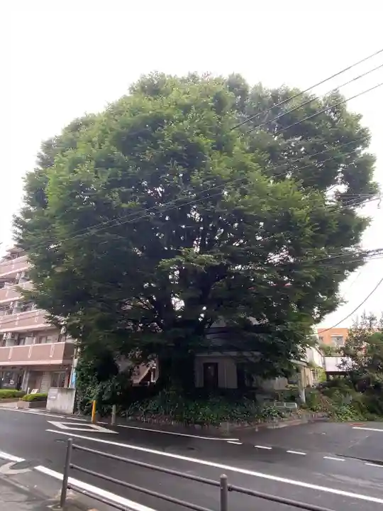 小野神社(東京都)