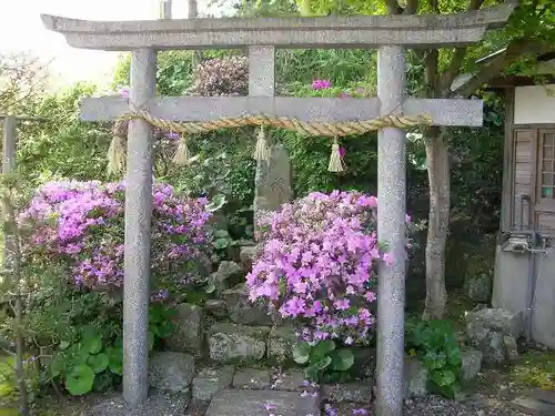 大元神社の鳥居