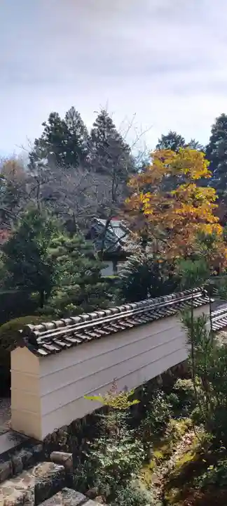 龍潭寺(静岡県)