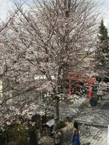 赤城神社の自然