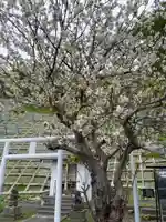 北門神社(北海道)