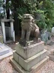 荒井神社の狛犬