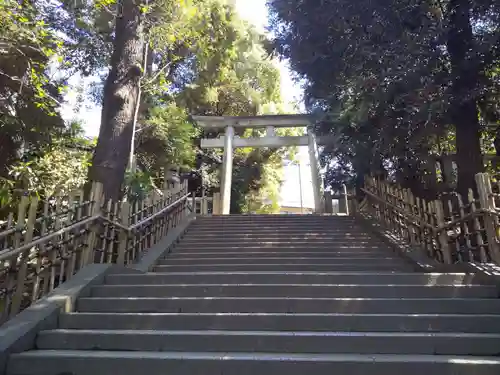 渋谷氷川神社の鳥居