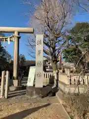 浅草神社の建物その他