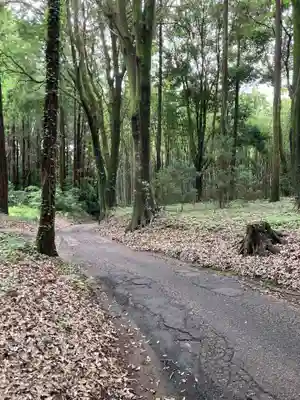 柏田神社(茨城県)