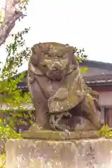 鹿嶋神社の狛犬