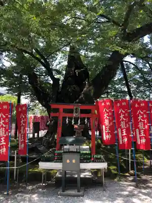 秩父今宮神社(埼玉県)