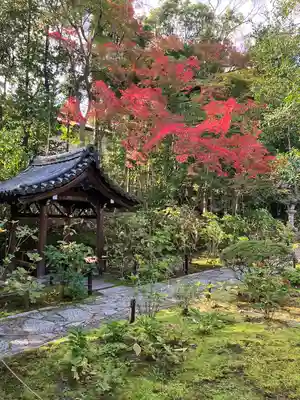 金地院の手水舎