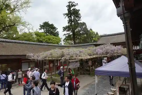 春日大社のその他建物