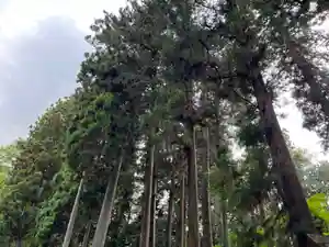大宮温泉神社(栃木県)(2023年06月05日(月) 06時15分57秒投稿)