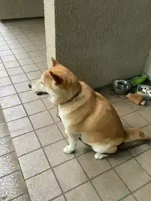 笠䅣稲荷神社(神奈川県)