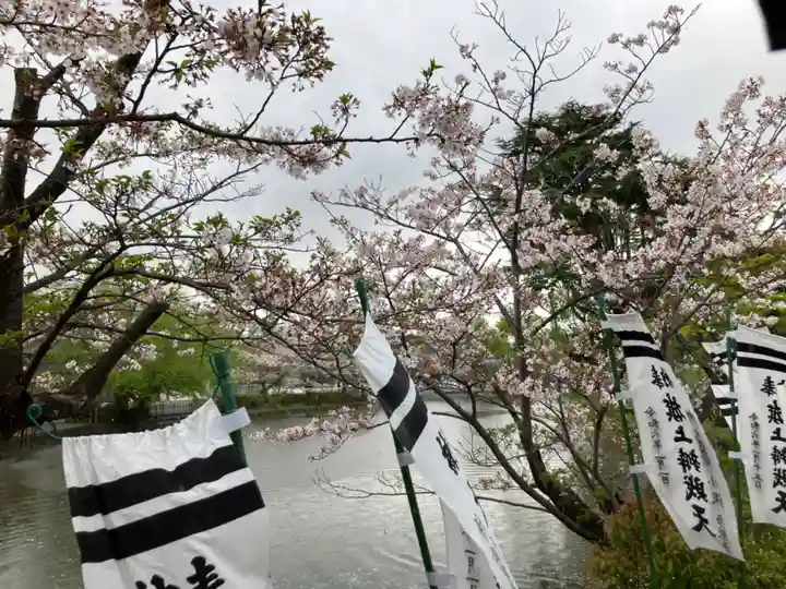 旗上弁財天社の自然