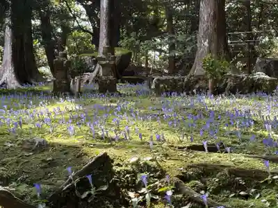 阿弥陀寺(和歌山県)