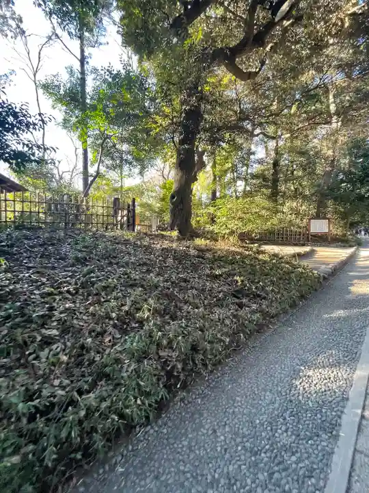 明治神宮(東京都)