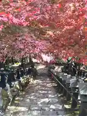 大山寺の景色