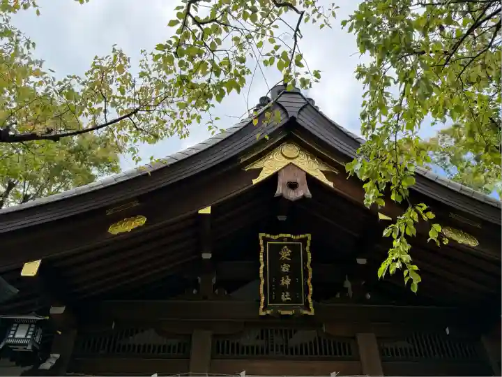 愛宕神社の本殿・本堂