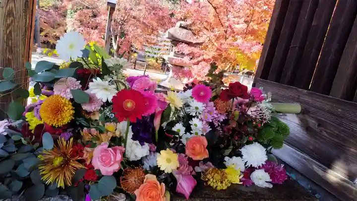 勝林寺(京都府)