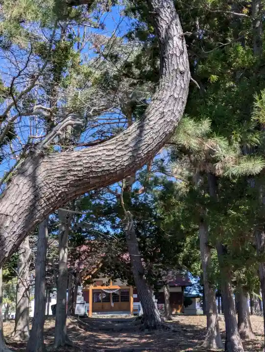 神山稲荷神社の{uncategorized: "未分類", other: "その他", undefined: "問題あり", building: "その他建物", grave: "お墓", sacred_gate: "鳥居", guardian: "狛犬", statue: "像", buddha: "仏像", history: "歴史", nature: "自然", garden: "庭園", animal: "動物", pagoda: "塔", temizu: "手水舎", mountain_gate: "山門・神門", sanctuary: "本殿・本堂", subordinate: "末社・摂社", art: "芸術", scenery: "景色", jizo: "地蔵", ema: "絵馬", goshuin: "御朱印", omikuji: "おみくじ", items: "授与品その他", amulet: "お守り", goshuincho: "御朱印帳", eats: "食事", festival: "お祭り", votive_dance: "神楽", shichigosan: "七五三参", wedding: "結婚式", experience: "体験その他", initially: "初詣", around: "周辺", anti_infection: "感染症対策"}