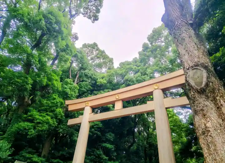 明治神宮(東京都)