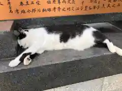 王子神社(徳島県)