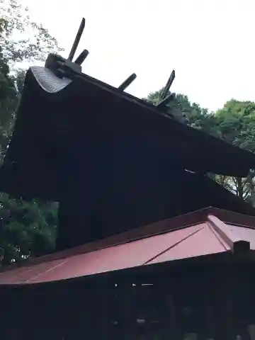 山代神社の本殿・本堂
