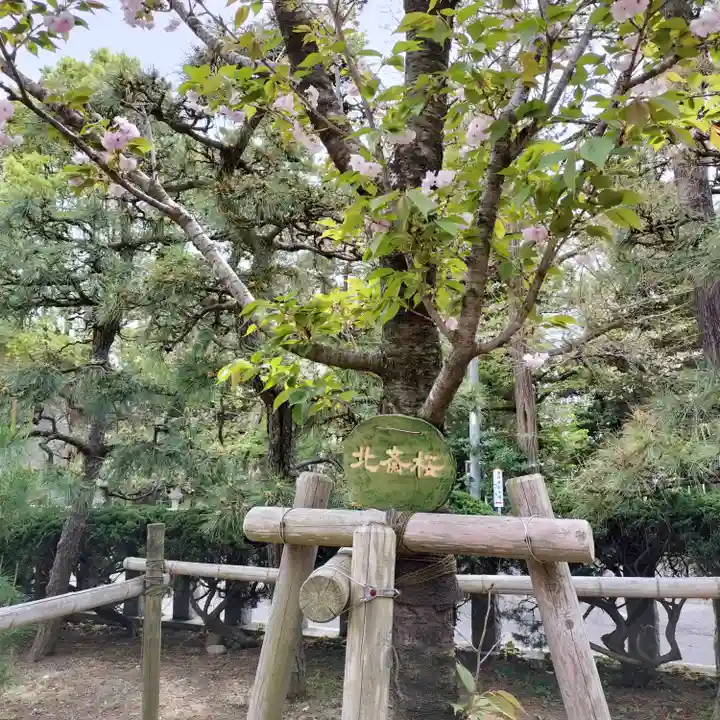 鶴嶺八幡宮(神奈川県)
