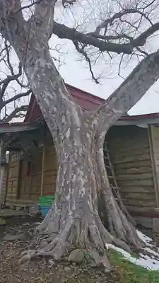 笹山稲荷神社(青森県)