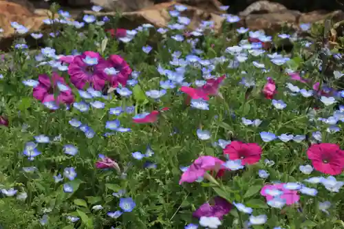 大鏑神社の自然
