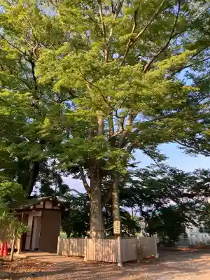 高椅神社の自然